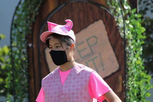Theatreworks Live presents Shrek, Jr