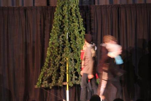 IMG 3049
