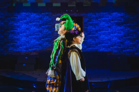 Once Upon A Mattress