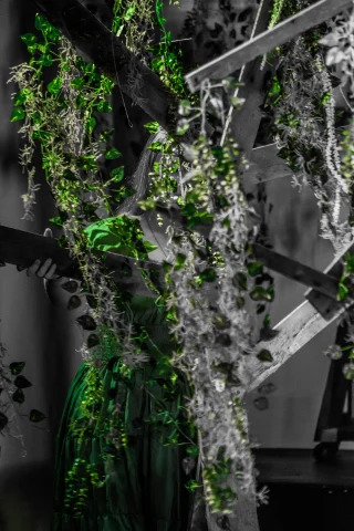 Giant-DSC_1122_edited