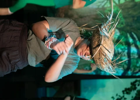 Peter Pan 2024 Dress Rehersal 204