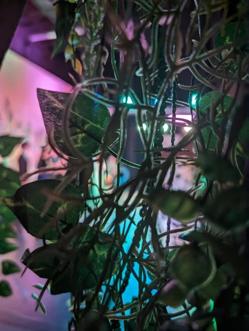 Wolf-PXL_20230603_010933031.NIGHT